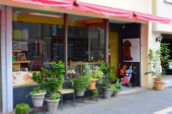鹿児島市の人気ペットショップ9選!サロン・ペットホテル併設の大型店も!