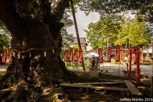 埼玉県|御朱印が素敵な神社・お寺21選!令和デザインや巡れるマップ最新版も!