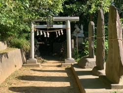 川越でじわじわと人気の【花手水めぐり】オススメの寺社5選!1.jpg